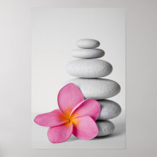 Frangipani Zen Poster