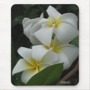 Frangipanis Photo Mousepad