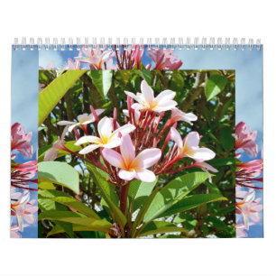 Frangipanis The Beauty Of Loveliness 2023 Calendar