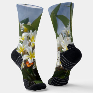 Frangipanis With Butterfly, Socks