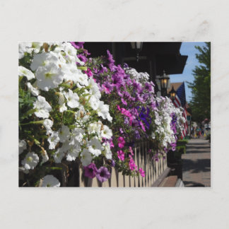 Frankenmuth, Michigan Postcard