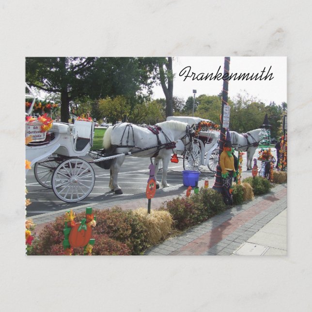 frankenmuth-michigan-white-horse-buggy-carriage-fa postcard (Front)