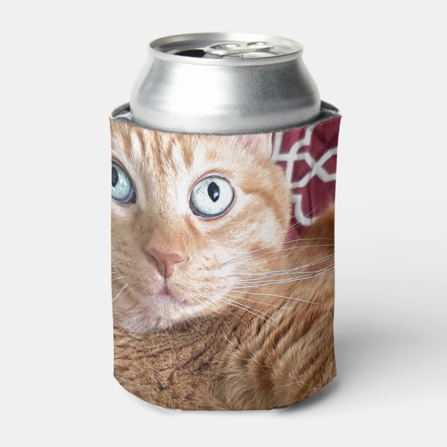 Frankie Can Cooler (Can Front)