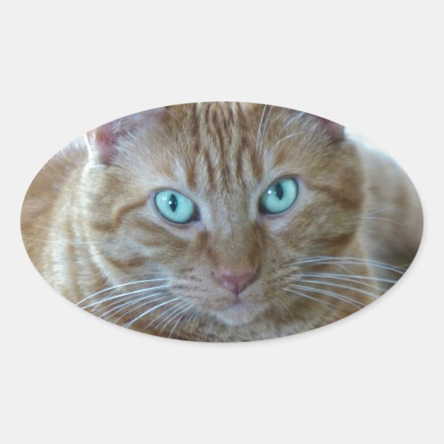 Frankie Oval Sticker (Front)