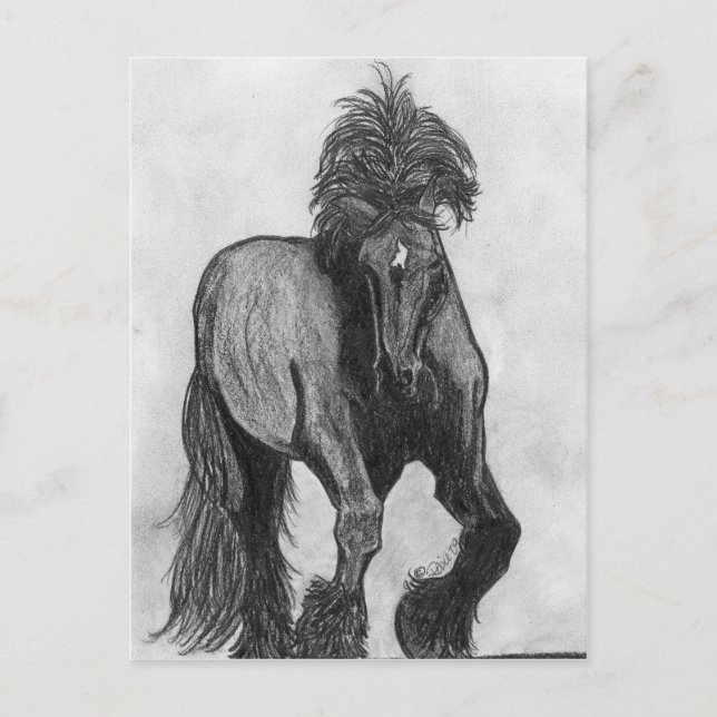 Frankie Postcard (Front)