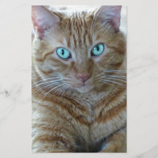 Frankie Stationery (Front)