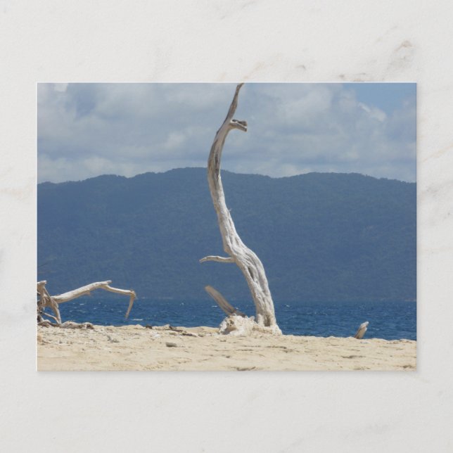 Frankland Islands - Australia Postcard (Front)