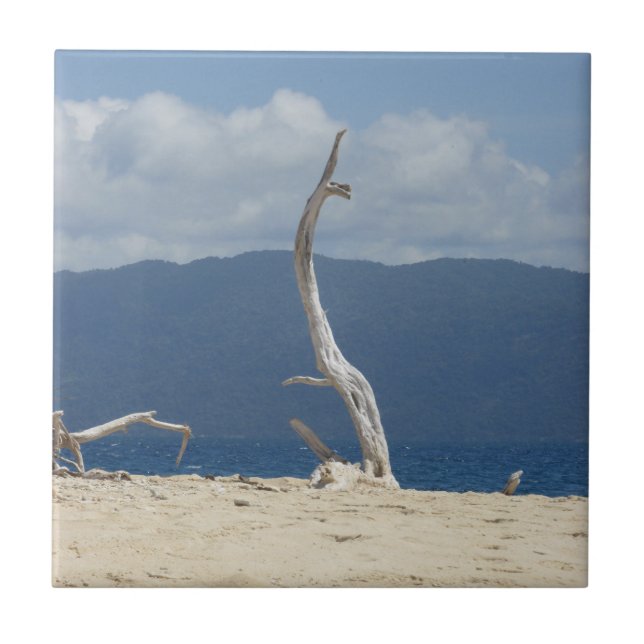 Frankland Islands Ceramic Tile (Front)