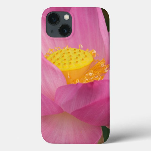 Franklin NC, Perry's Water Garden, Lotus 2 Case-Mate iPhone Case (Back)