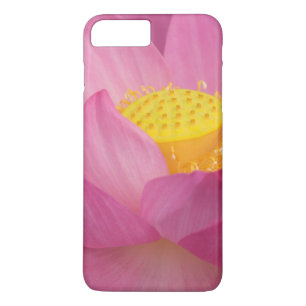 Franklin NC, Perry's Water Garden, Lotus 2 iPhone 8 Plus/7 Plus Case