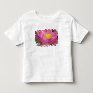 Franklin NC, Perry's Water Garden, Lotus 2 Toddler T-Shirt