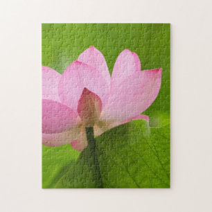 Franklin NC, Perry's Water Garden, Lotus Jigsaw Puzzle