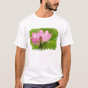 Franklin NC, Perry's Water Garden, Lotus T-Shirt