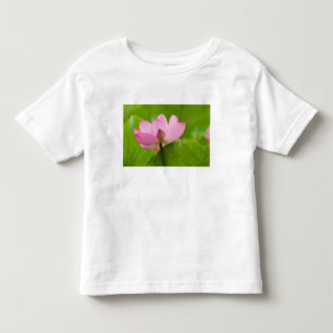 Franklin NC, Perry's Water Garden, Lotus Toddler T-Shirt