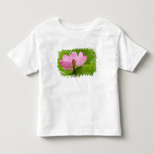 Franklin NC, Perry's Water Garden, Lotus Toddler T-Shirt