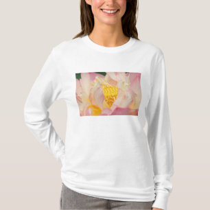 Franklin NC, Perry's Water Garden, Lotus with T-Shirt