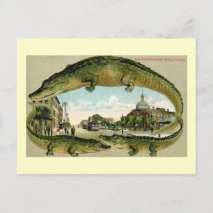 Franklin St., Tampa, Florida Vintage Postcard