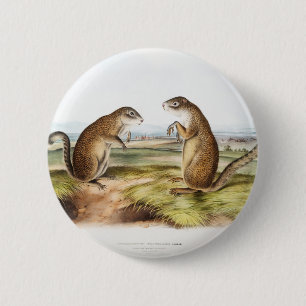 Franklin's Marmot Squirrel Camping Gear Deco Gifts 6 Cm Round Badge