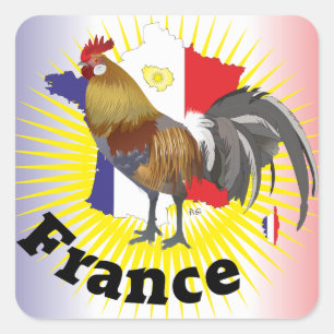 Frankreich France Francia Aufkleber Square Sticker