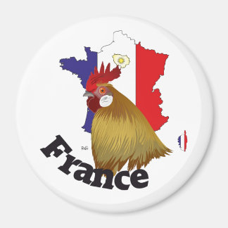 Frankreich France Francia Magnete Magnet