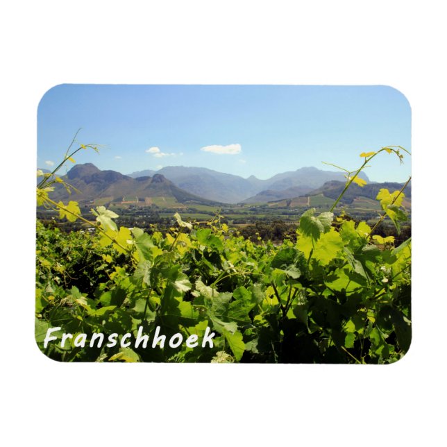 Franschhoek Vineyards Magnet (Horizontal)