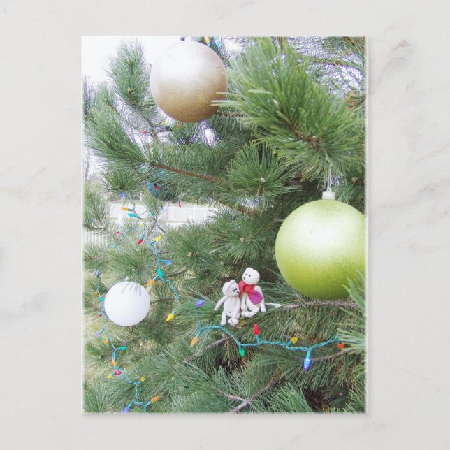 Franscious and Lennart Christmas Tree Postcard (Front)
