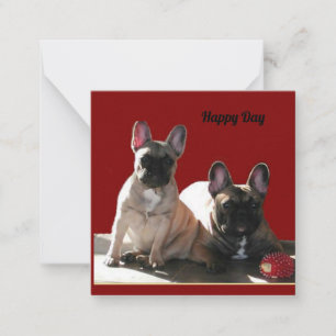 Französische Buldoggen Flo und Fips Card