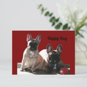 Französische Buldoggen Flo und Fips Invitation