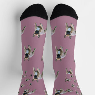 Französische Bulldogge am Strand Socks