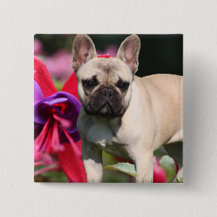 Französische Bulldogge Anstecknadel 15 Cm Square Badge