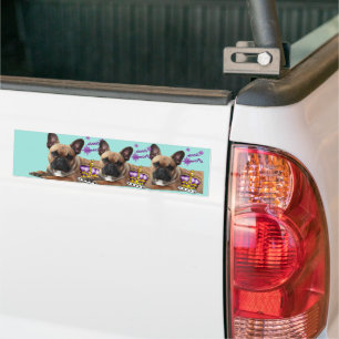Französische Bulldogge Autoaufkleber Bumper Sticker