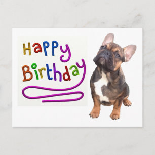 Französische Bulldogge Birthday French Bulldog Postcard