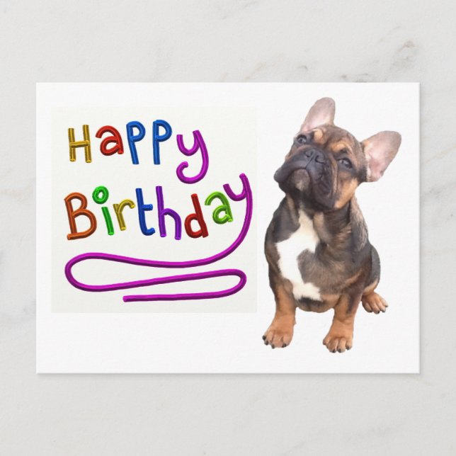 Französische Bulldogge Birthday French Bulldog Postcard (Front)