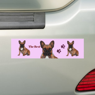 Französische Bulldogge  Bumper Sticker