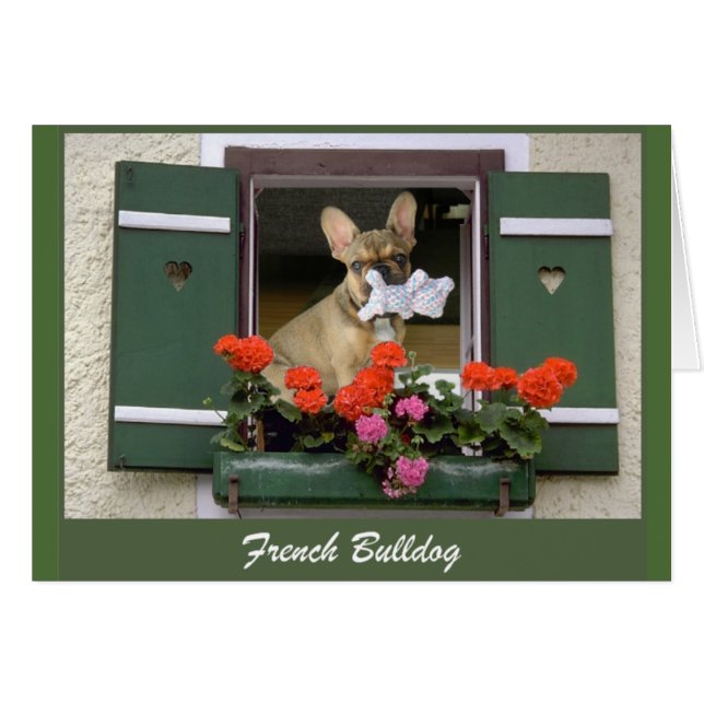 Französische Bulldogge Grußkarte (Front Horizontal)