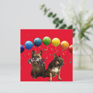 französische Bulldogge Grusskarte Invitation