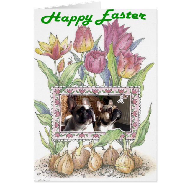 Französische Bulldogge Grußkarte Ostern (Front)