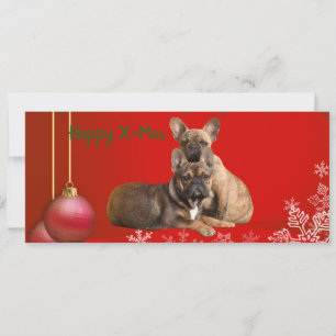 französische Bulldogge Grusskarte Weihnachten  Save The Date