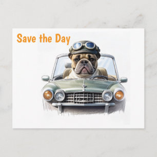   Französische Bulldogge im Oldtimer  Invitation Postcard
