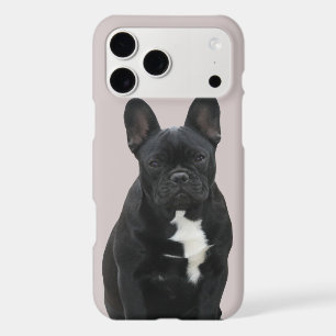 Französische Bulldogge iPhone 11 Pro Max Hülle