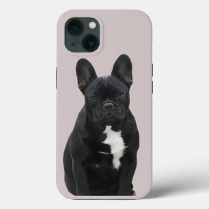 Französische Bulldogge iPhone 13 Pro Case Mate