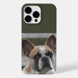 Französische Bulldogge  iPhone 14 Pro Max Case