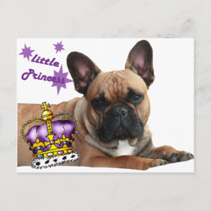 Französische Bulldogge Karte Postcard