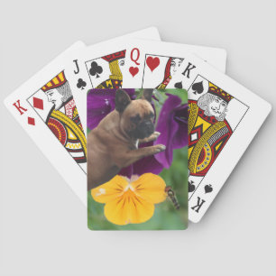 Französische Bulldogge Kartenspiel Playing Cards
