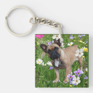 Französische. Bulldogge  Key Ring