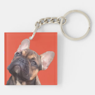 Französische Bulldogge Key Ring