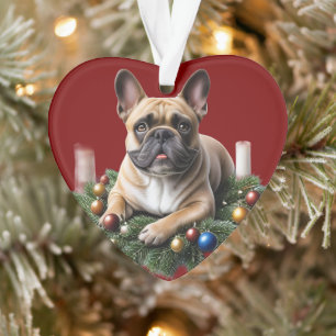 Französische Bulldogge liegt im Adventkranz Ornament