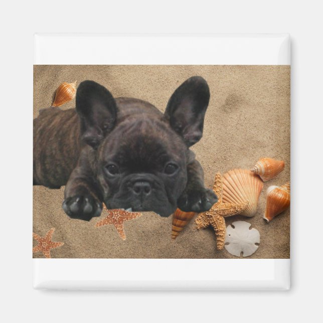 Französische Bulldogge Magnet (Front)