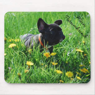 Französische Bulldogge Mousepad