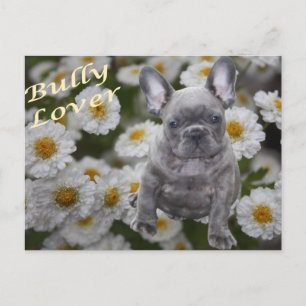 Französische Bulldogge Postkarte im Blumenmeer Postcard